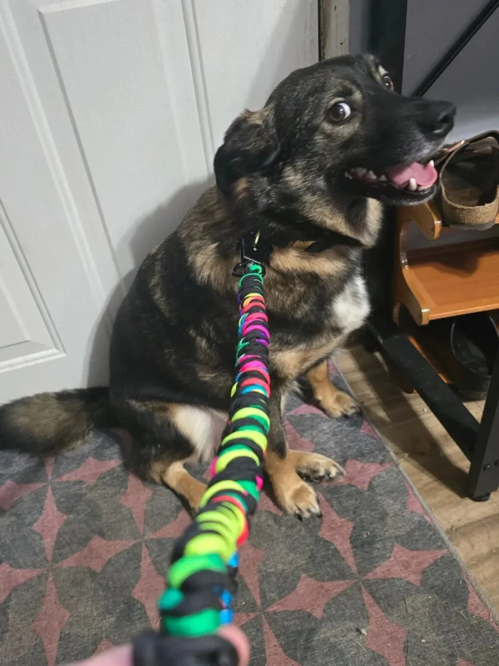 Heavy duty curb/short leash - 19